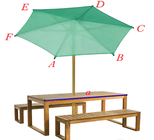 Hình minh họa câu hỏi